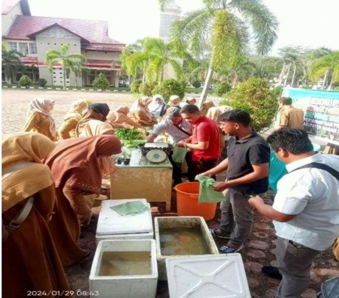 noeh21