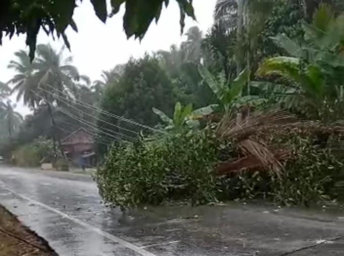 noeh21